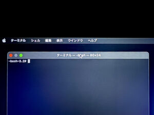 起動オプション画面 - bash