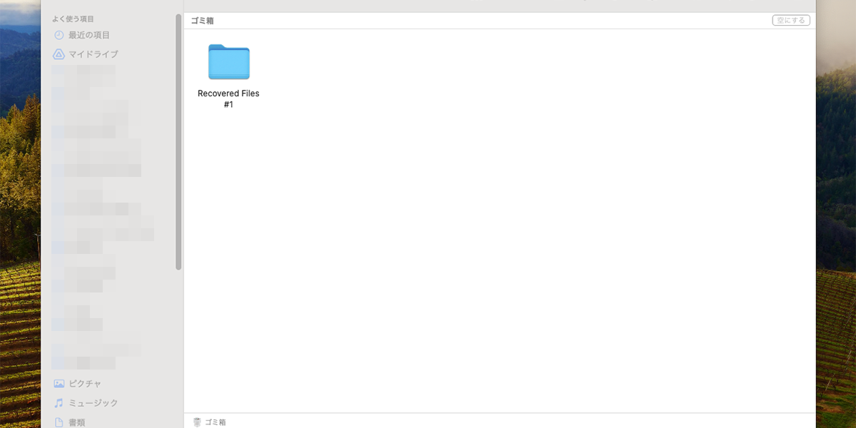 20230930-icatch ゴミ箱に出来た一時保存ファイル